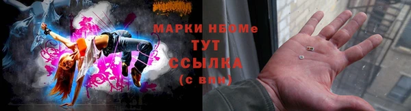 гидропоника Балабаново