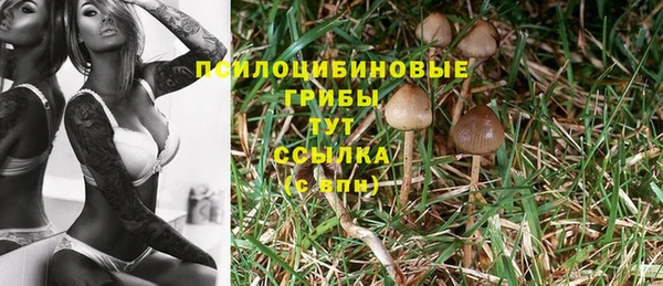 гидропоника Балабаново