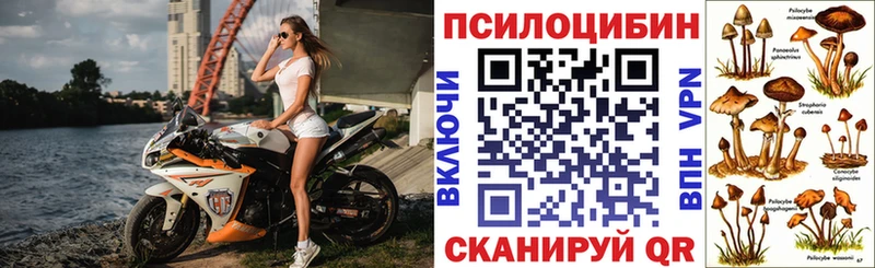 Галлюциногенные грибы прущие грибы  цены наркотик  Безенчук 
